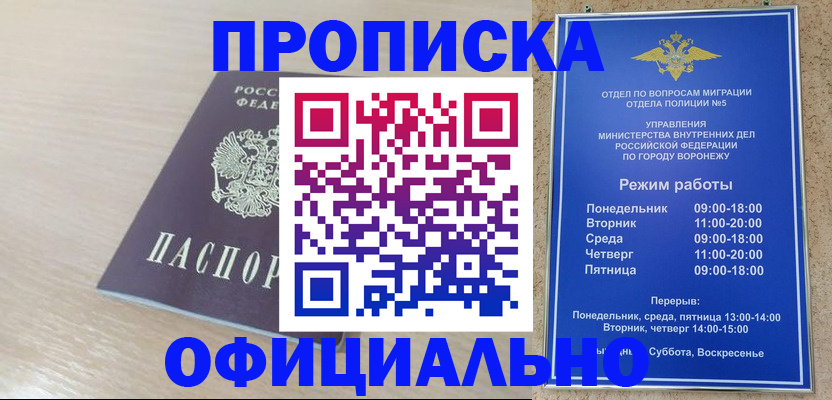 прописка в квартире в Бердске